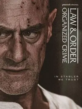 《法律与秩序：组织犯罪 第五季》回归！重案再起，谁将揭开黑暗真相？