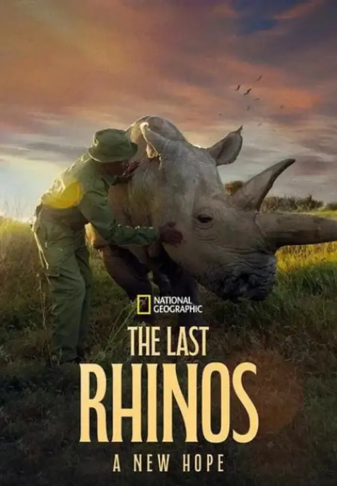 《最后的犀牛：新希望》深度影评：濒危物种的希望之光，触动人心的生存史诗