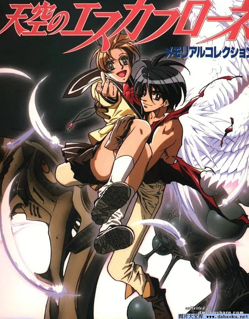 《天空之艾斯嘉科尼》：一场关于爱与牺牲的史诗，让心灵飞翔的奇幻之旅