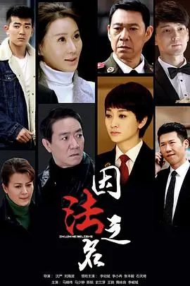 《因法之名》：迷雾重重下的真相追击！悬疑反转再反转，谁才是真正的幕后黑手？